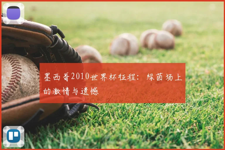 墨西哥2010世界杯征程：绿茵场上的激情与遗憾