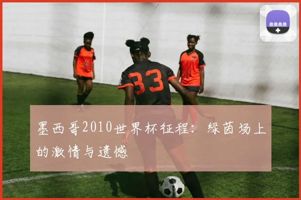 墨西哥2010世界杯征程：绿茵场上的激情与遗憾
