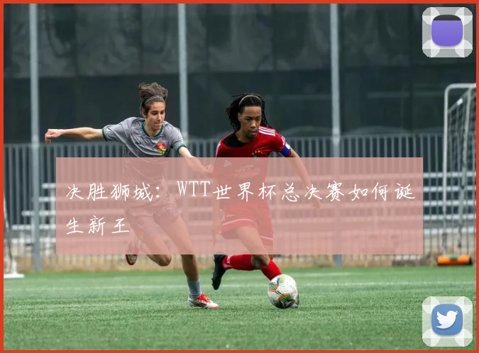 决胜狮城:WTT世界杯总决赛如何诞生新王