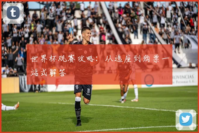 世界杯观赛攻略：从选座到购票一站式解答