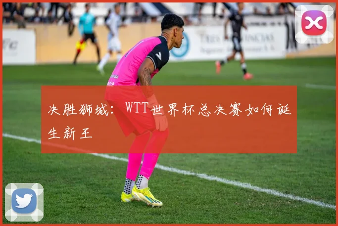 决胜狮城：WTT世界杯总决赛如何诞生新王