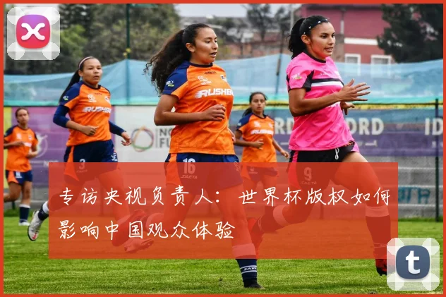 专访央视负责人:世界杯版权如何影响中国观众体验